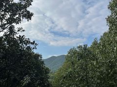 -杭州半山国家森林公园