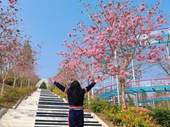 -盈香心动乐园