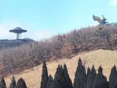 -渔公码头·九龙湾国际饭店