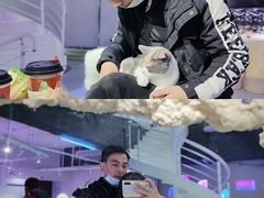 -极木²邸 人与宠物·互动社区