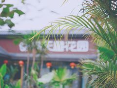 -满天星花园