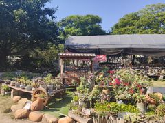 -广东花都香草世界旅游度假区
