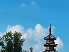 -【朵云轩艺术中心】博洛尼亚插画展·中国巡展·上海站
