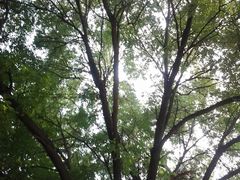 -康庄公园