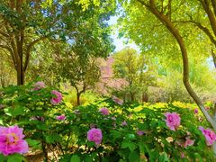 -洛阳市隋唐城遗址植物园