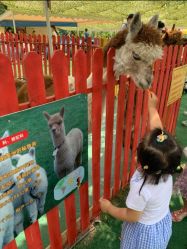 -萌宠亲子动物乐园(槐房万达店)