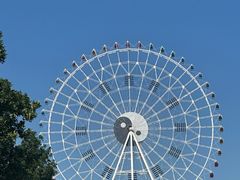 -特克斯八卦城