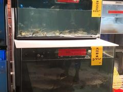 -五稻厨房粤西菜(新闻店)