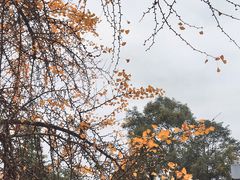 -金堂县云顶石城风景区