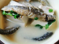 野生泥鳅汤-生态苑农庄(十里画廊遇龙河店)
