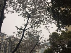 -快网网球俱乐部(徐汇爱建园店)