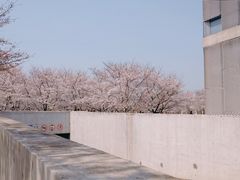 -龙美术馆(西岸馆)