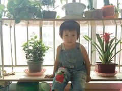 -森林公园(尖草坪区)