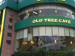 -风雅老树咖啡(清远店)