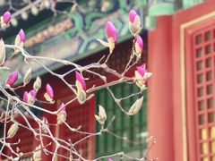 -潭柘寺景区