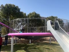 -春花秋色城市公园