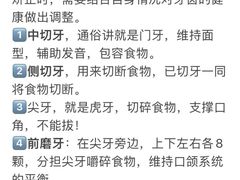 -维乐口腔·埃齐门诊(静安店)