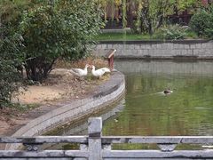 -晋祠公园
