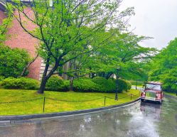 点击看大图 -上海瑞金洲际酒店·宴会厅