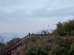 -广州市石门国家森林公园