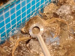 -焰江山海鲜牛排烤肉自助(锦华万达二星店)