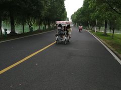 -漕湖湿地公园
