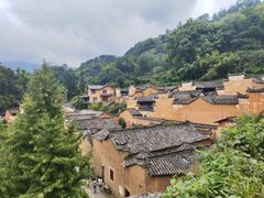 -杨家堂村