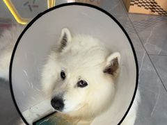 -中国体育彩票(竞彩店)