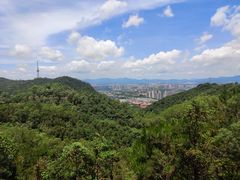-大雁山风景区