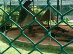 -广东茂名森林公园