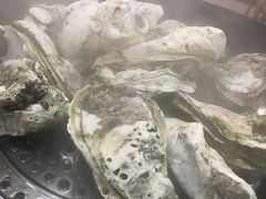 -蚝专家(北滘店)