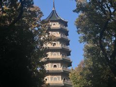 -灵谷景区