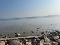 -深圳湾公园(南山区)