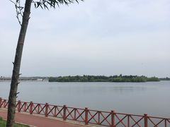 -丁香湖公园