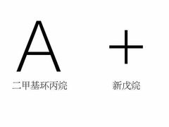 -华东师范大学第二附属中学(张江校区)