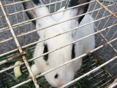 -北京周口店北京人遗址博物馆