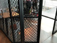 -威尔仕健身·游泳(KING88店)