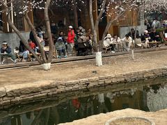 -春风习习