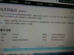 -乌尤尼盐沼