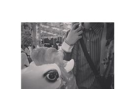 -郑州方特梦幻王国