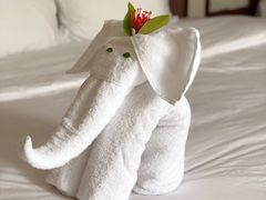 -三亚亚龙湾雅高铂尔曼别墅度假酒店