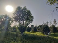 -汉长安城未央宫国家考古遗址公园