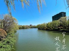 -崔义清鲁菜馆(大明湖店)