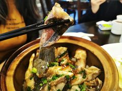 -红星光发煲仔饭(文海店)