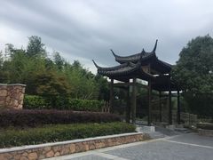 -帐篷客·溪龙茶谷度假酒店