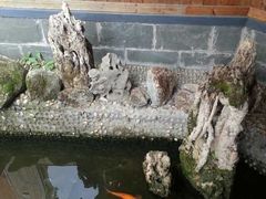 -西湖游船