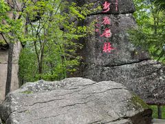 -汤旺河林海奇石景区