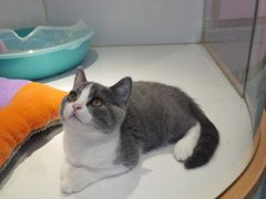 -龟与熊猫宠物公园(南坪店)
