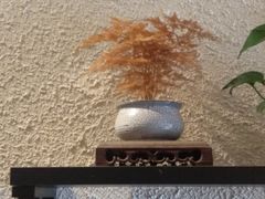 -豆爺小面(朱雀店)