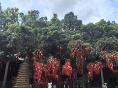 -国恩寺